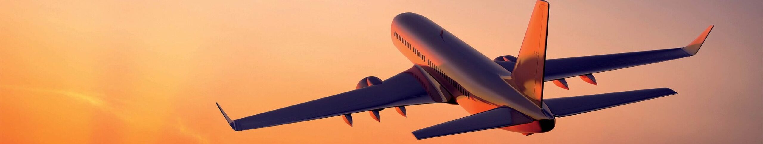 Book cheap flight online